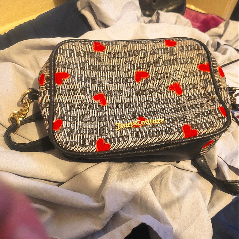 Juicy Couture clutch